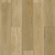 Beach Oak