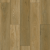 Golden Oak